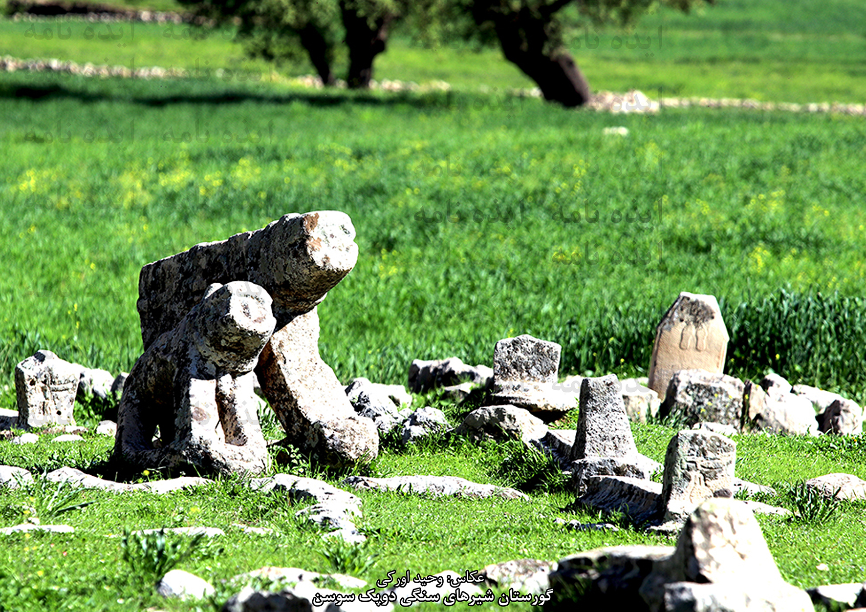 شیرهای سنگی نماد هویت، اصالت و شجاعت در سرزمین بختیاری | عکاس: وحید اورکی